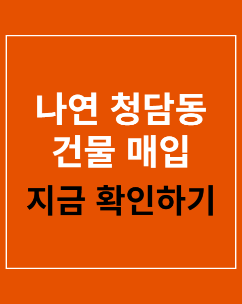 나연 청담동 건물 매입