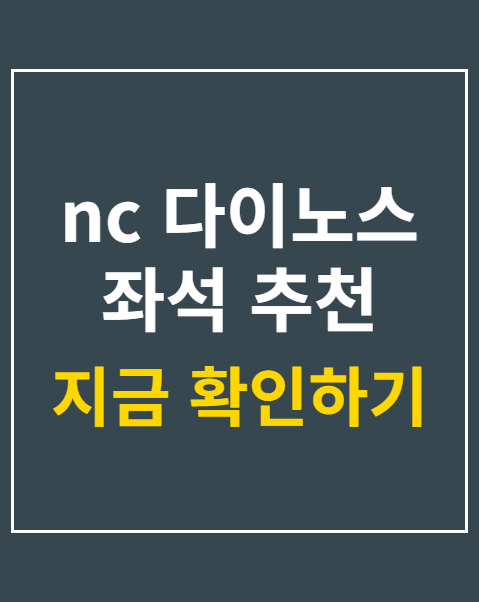 nc 다이노스 좌석 추천