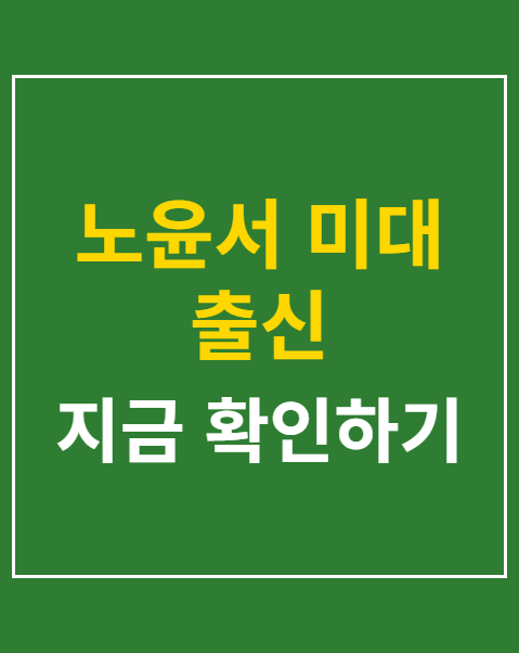 노윤서 미대 출신