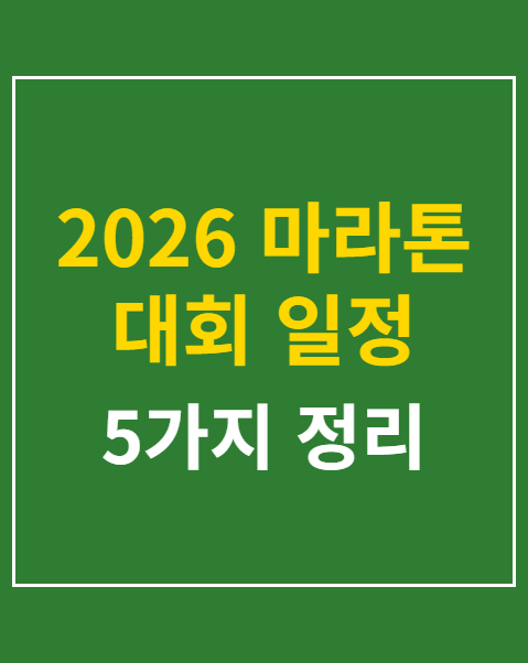 2026 마라톤 대회 일정