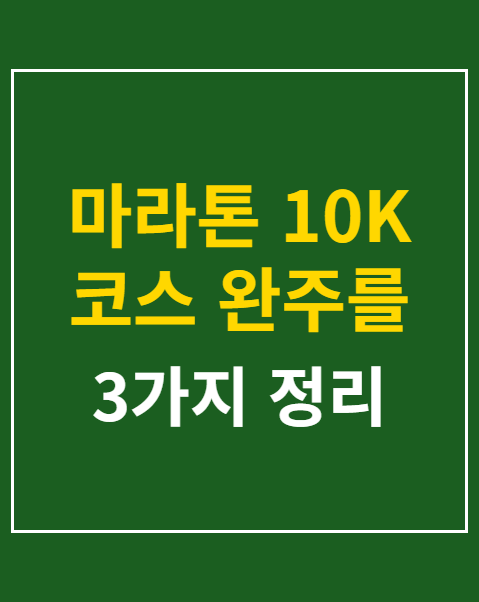 마라톤 10K 코스 완주