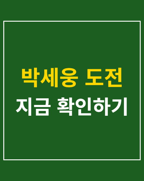 박세웅 도전