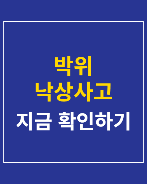박위 낙상사고 CCTV