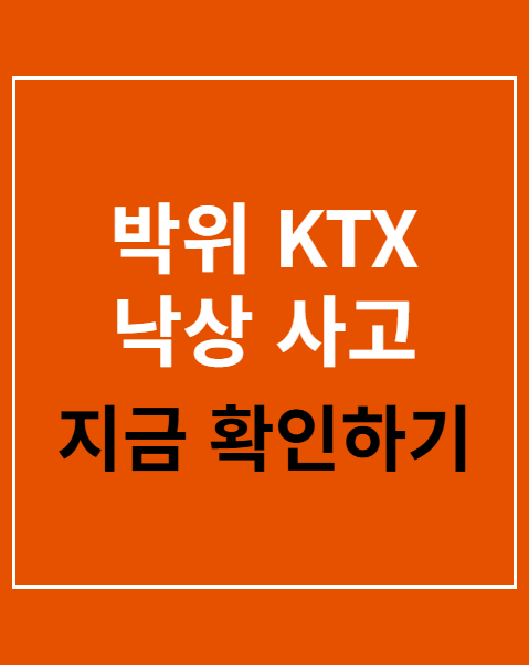 박위 KTX 낙상 사고