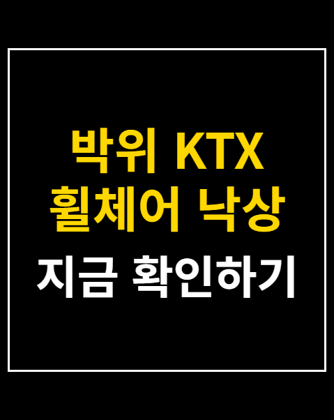박위 KTX 휠체어 낙상