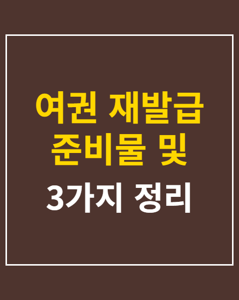 여권 재발급 준비물