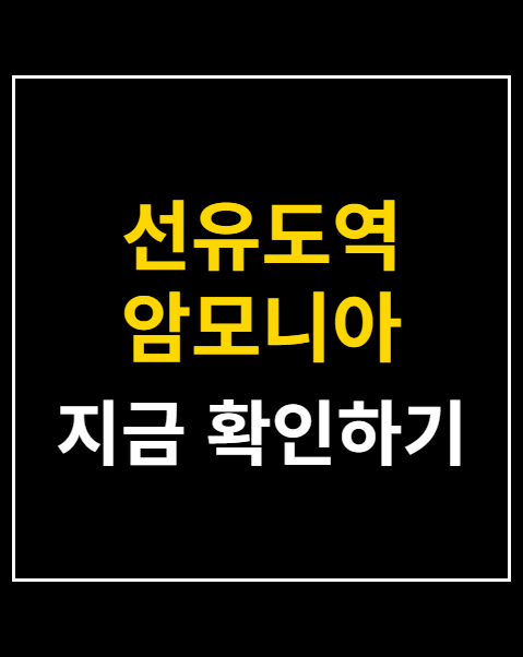 선유도역 암모니아 누출