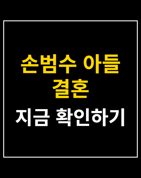 손범수 아들 결혼