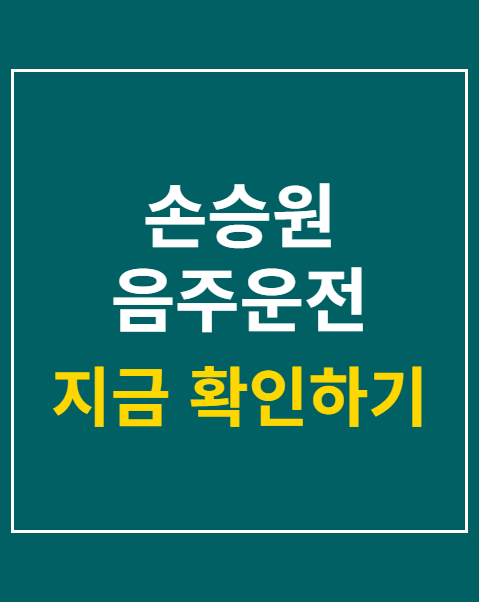 손승원 음주운전 징역