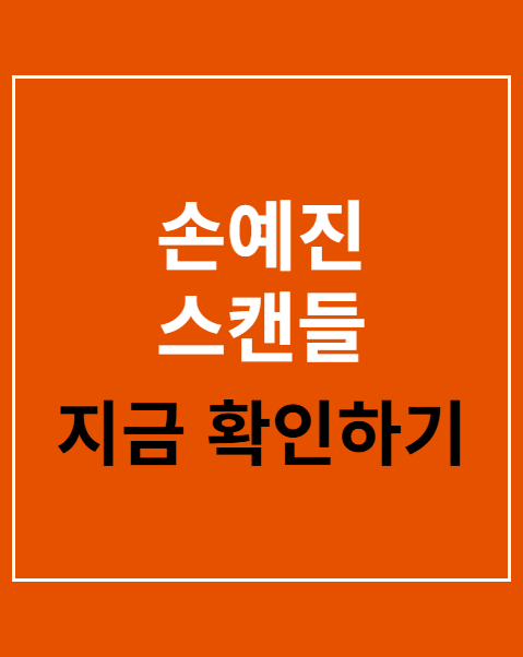 손예진 스캔들