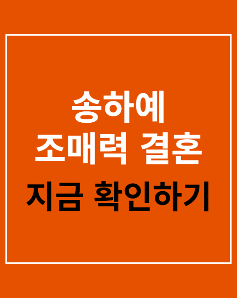 송하예 조매력 결혼