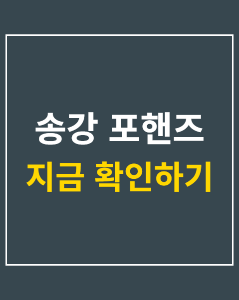 송강 포핸즈