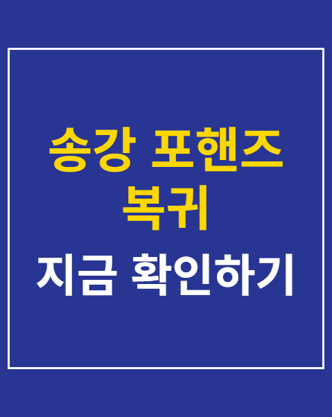 송강 포핸즈 복귀
