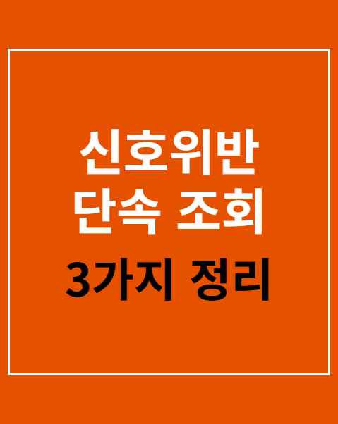 신호위반 단속 조회