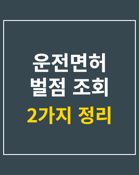운전면허 벌점 조회