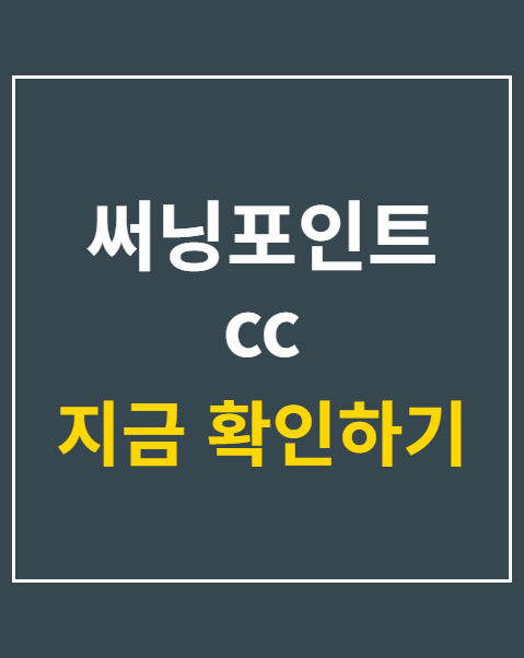 써닝포인트 cc