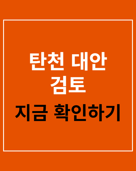탄천 대안 검토