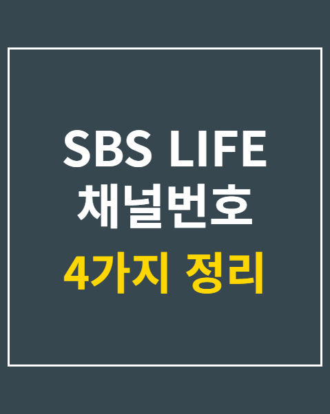 SBS LIFE 채널번호 지역별 4가지 확인법