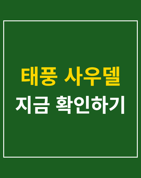 태풍 사우델