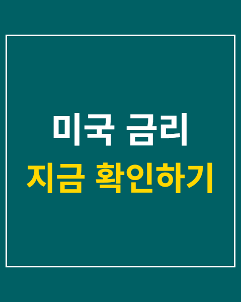 미국 금리