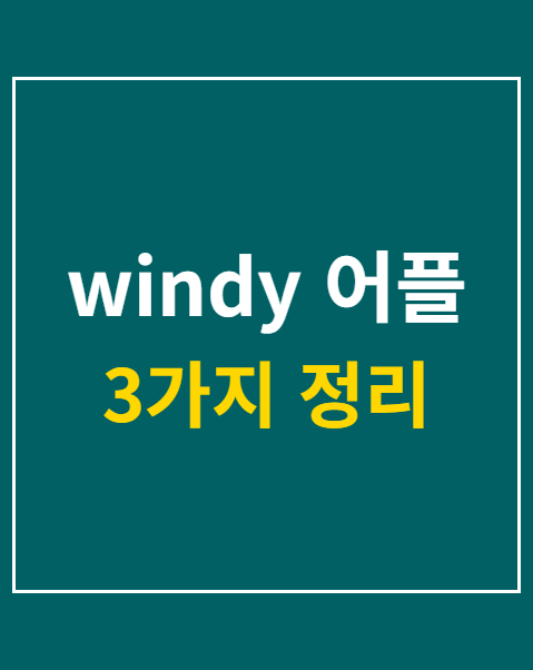 windy 어플