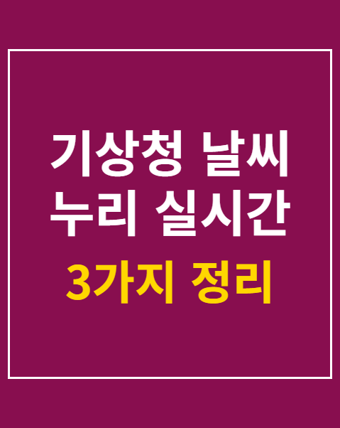 기상청 날씨 누리 실시간 동네예보 활용법 3가지