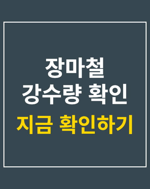 실시간 레이더 앱 추천