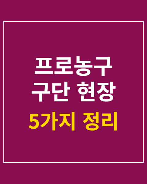 프로농구 구단 현장 스태프 지원 조건