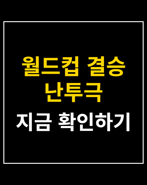 월드컵 결승 난투극