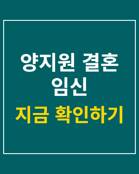 양지원 결혼 임신