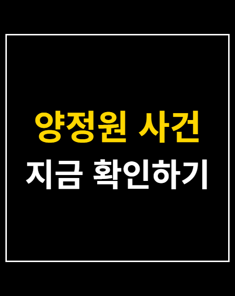 양정원 사건