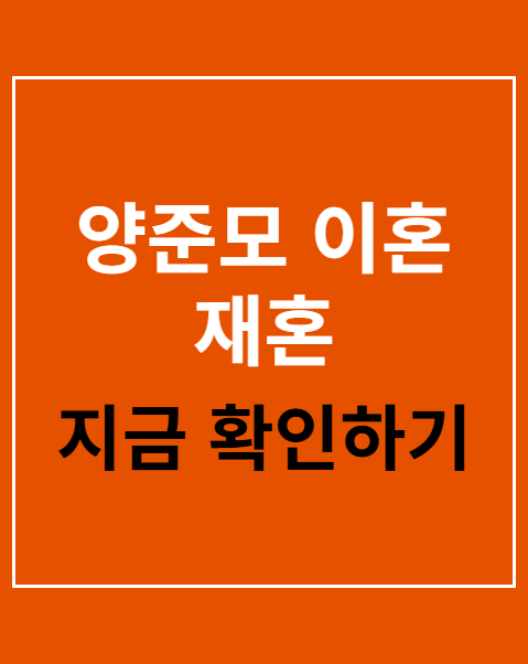 양준모 이혼 재혼