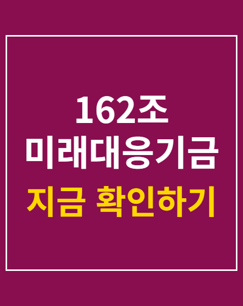 162조 미래대응기금