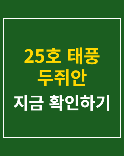 25호 태풍 두쥐안