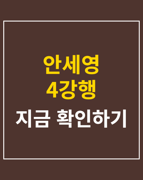 안세영 4강행