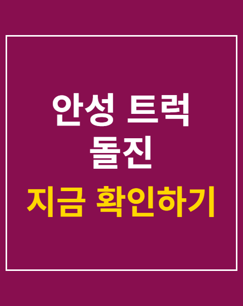 안성 트럭 돌진