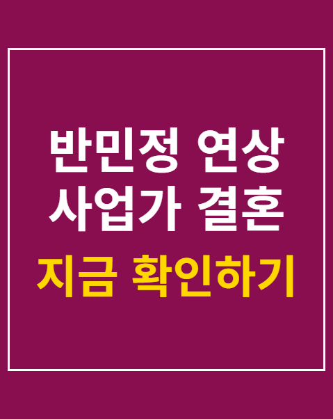 반민정 연상 사업가 결혼