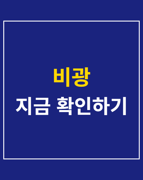 비광