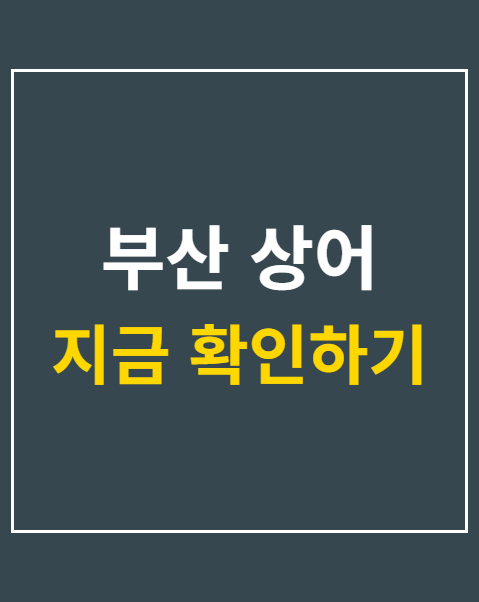부산 상어