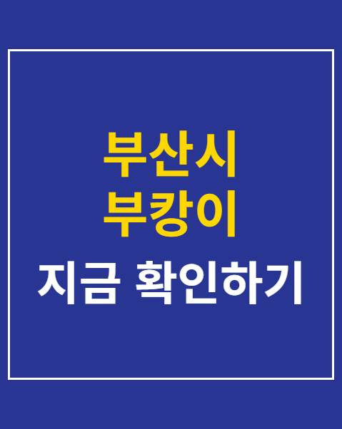 부산시 부캉이