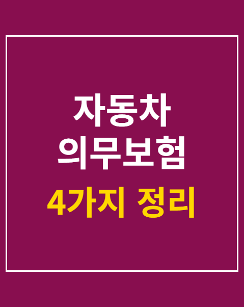 자동차 의무보험 미가입 과태료