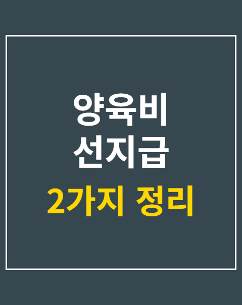 양육비 선지급 소득기준