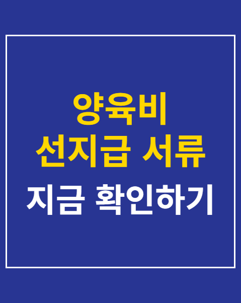 양육비 선지급 서류