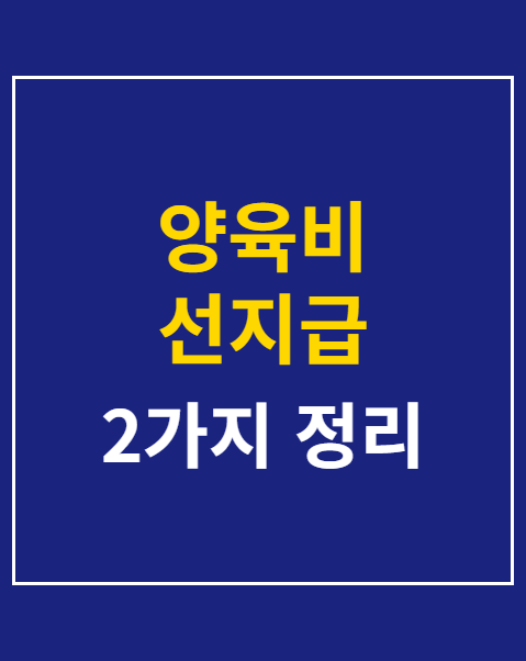 양육비 선지급 지급일