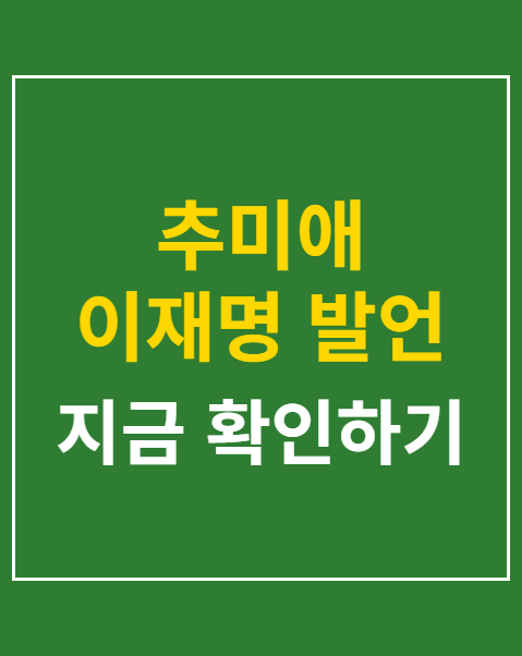 추미애 이재명 발언