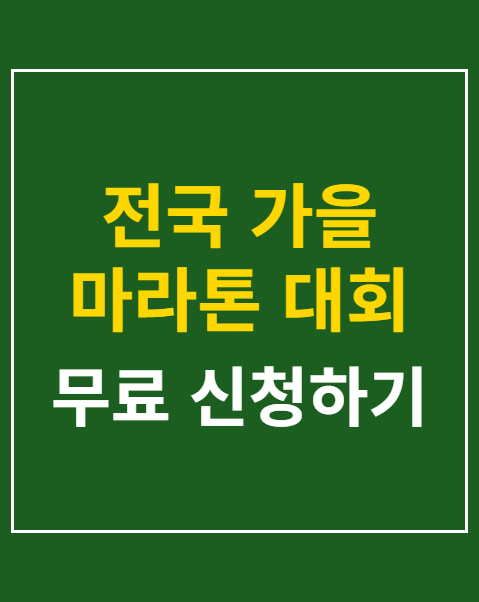 전국 가을 마라톤 대회 4곳 일정 비교