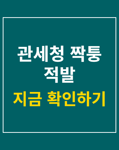 관세청 짝퉁 적발