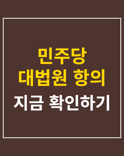 민주당 대법원 항의 방문