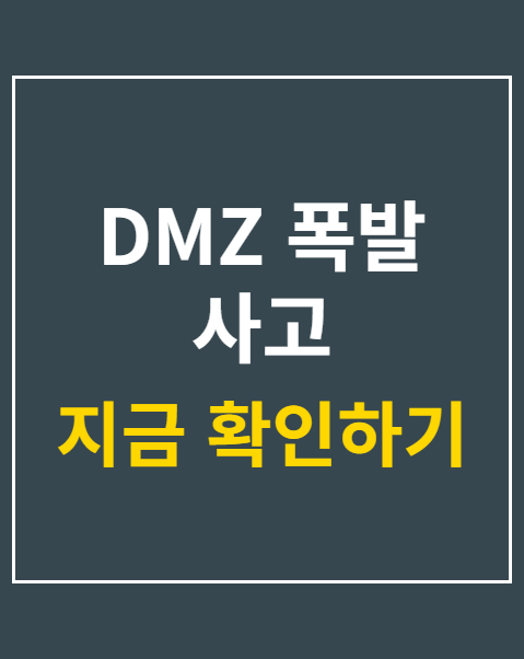 DMZ 폭발 사고