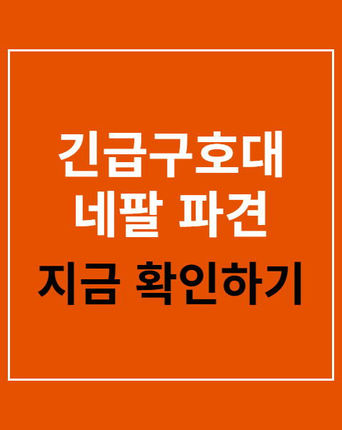 긴급구호대 네팔 파견